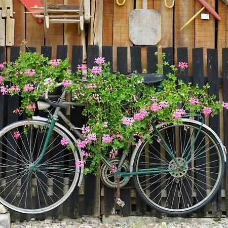 Casa de Férias Dolina Mira