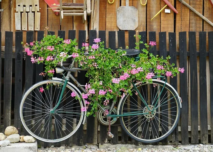 Дом отдыха Dolina Mira